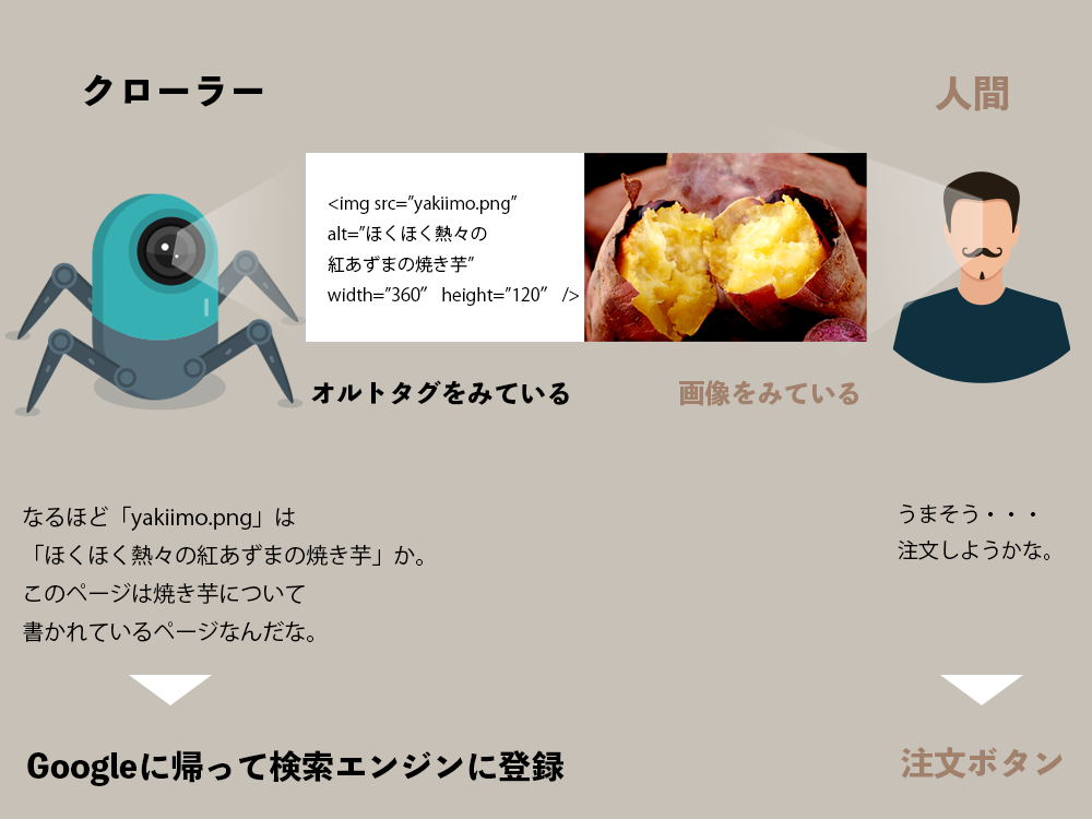オルトタグ(ALT属性)についての説明画像です